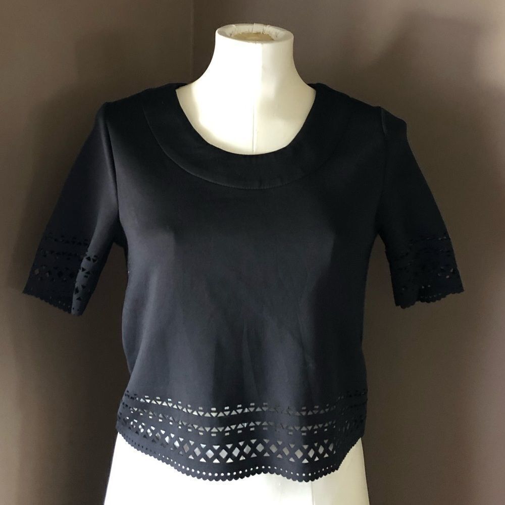 Metaphor Crop Top